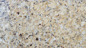 Venetian Gold Swatch